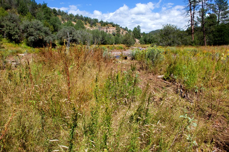 Continental Divide Trail