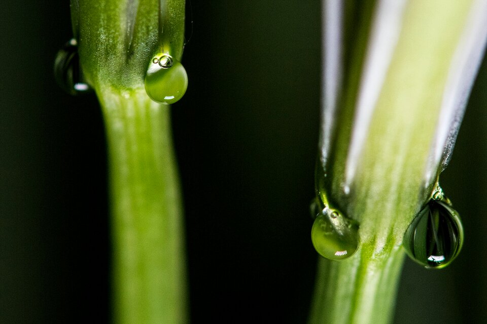 One-solution phenomenon trickle nature