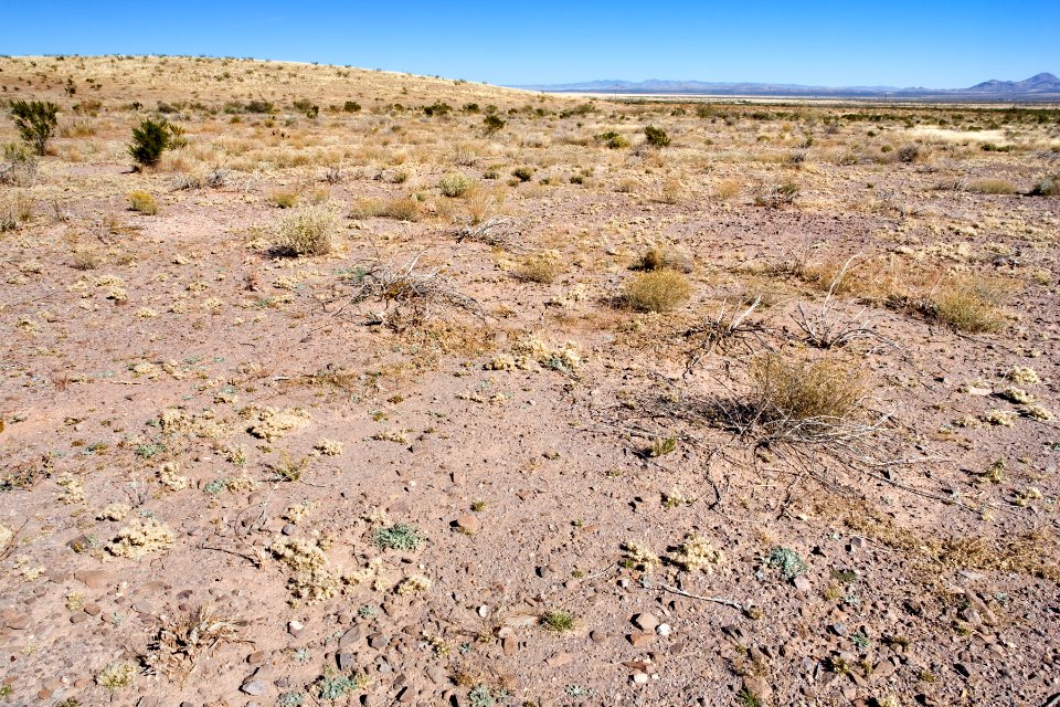Near Bobcat Hill