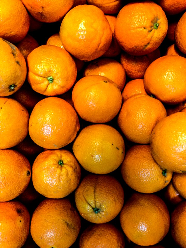 Fresh healthy organic