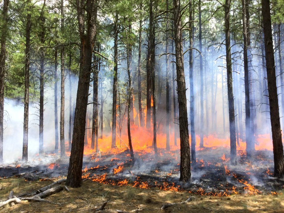 Eden Fire (July 30, 2016)