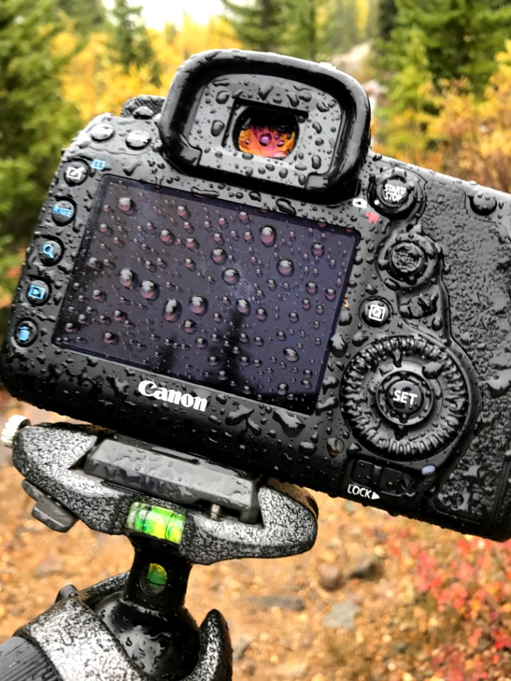 Canon 5d mark iv holds up to first snow Colorado