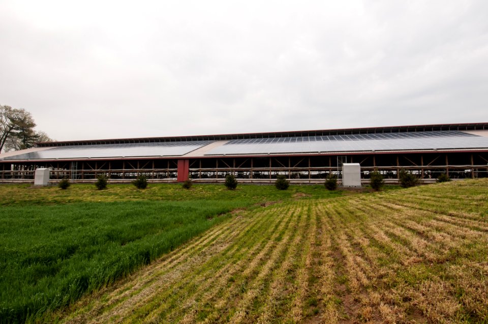 20110419-RD-LSC-0693