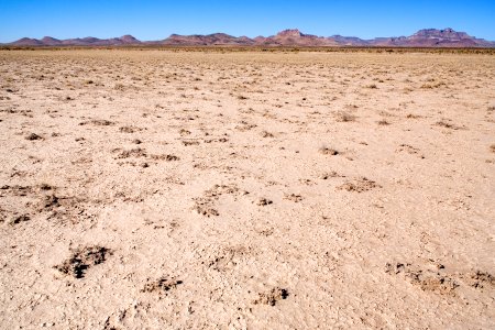 West side of Lordsburg Playa