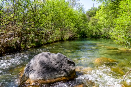 Homestead at Fossil Creek