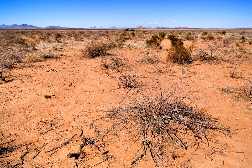 East-northeast of Animas