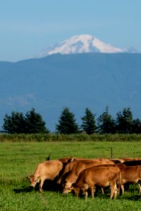 20190805-NRCS-LSC-0130 1