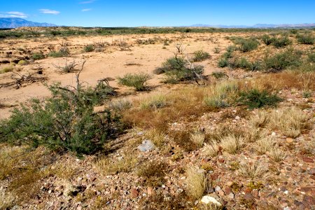 Gold Gulch