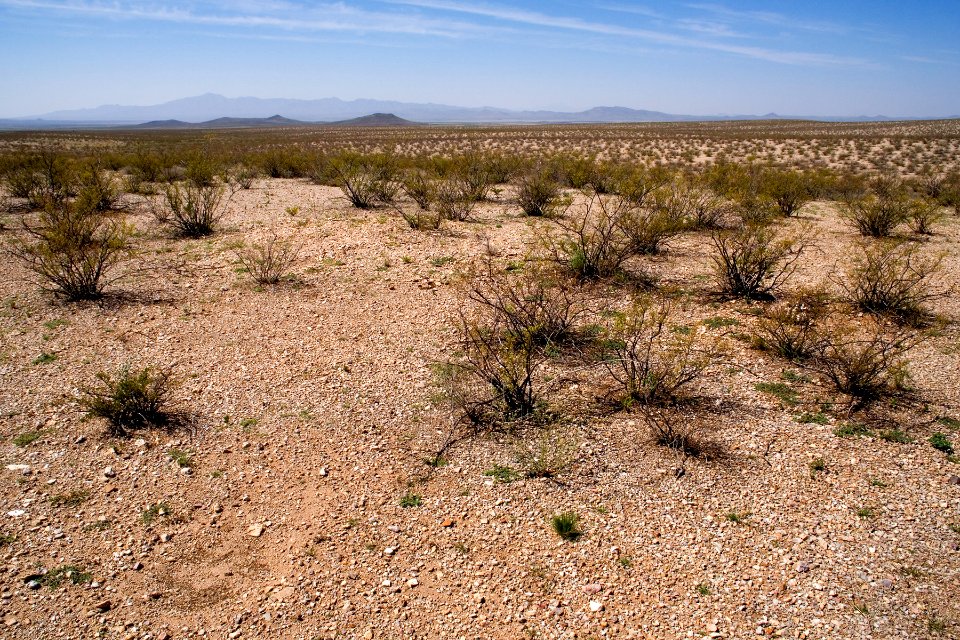 South bajada of the Tres Hermanas