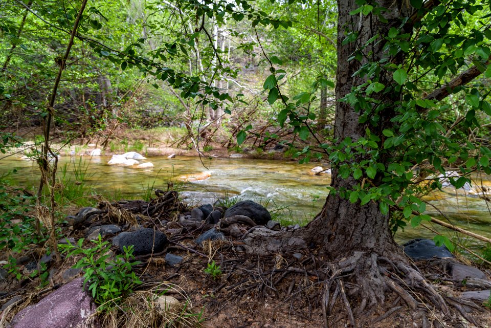 Purple Mountain on Fossil Creek
