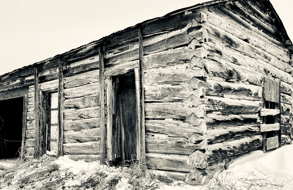 Old and Abandoned Homestead