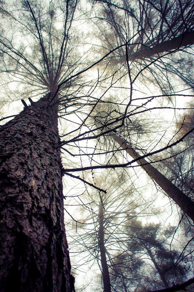 Landscape natural outdoor