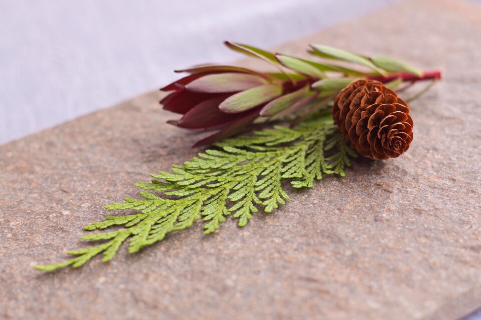 Cone twig decorative