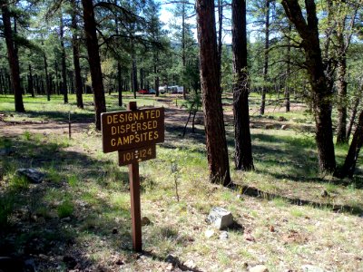 Pumphouse Wash (FR 237) Camping Loop 1