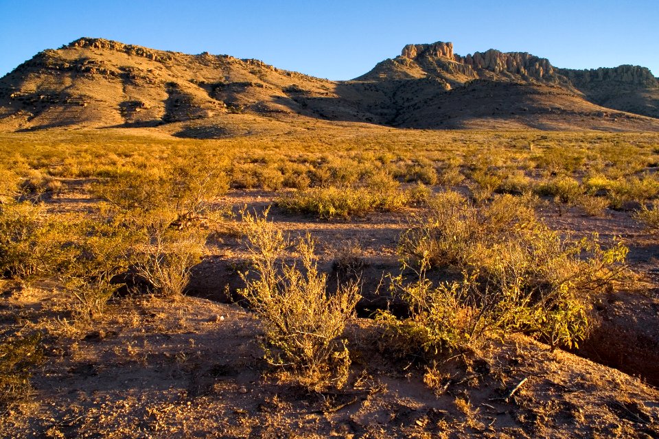 North side of the Alamo Hueco Mountains