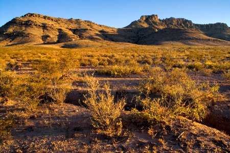 North side of the Alamo Hueco Mountains
