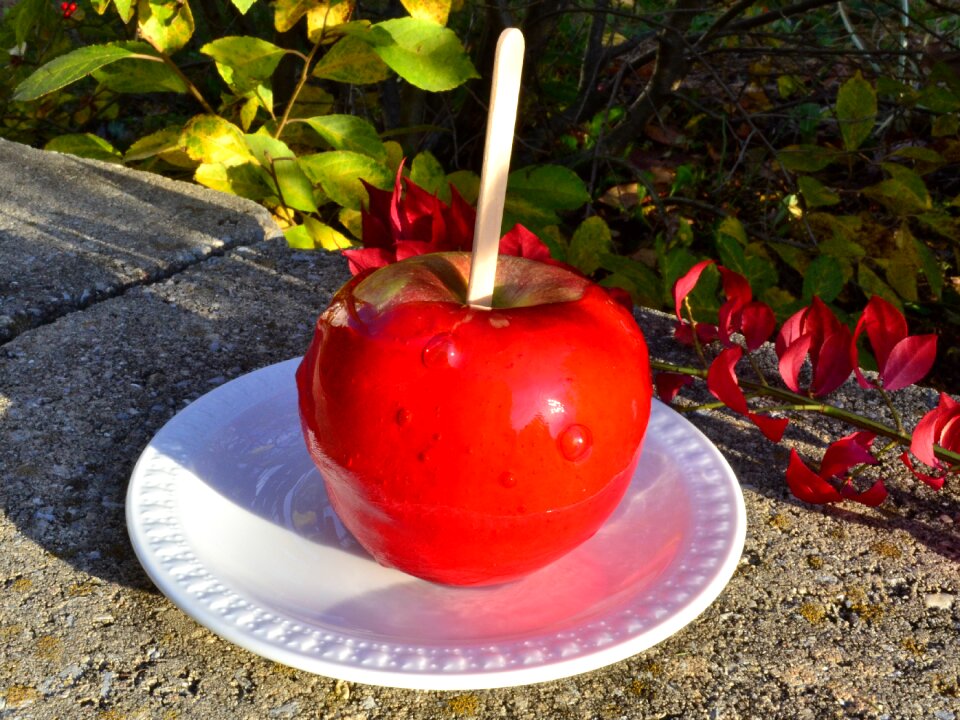 Fall festival red