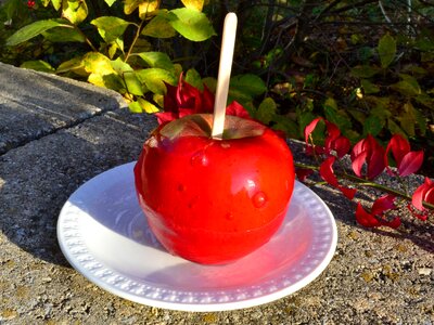 Fall festival red