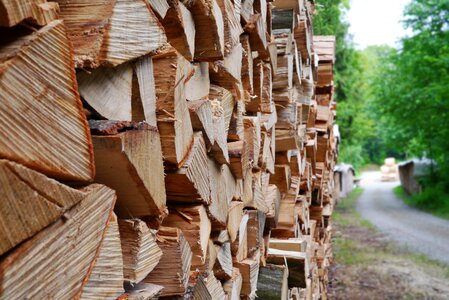 Firewood combs thread cutting timberyard photo