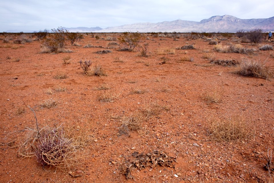 West of Caballo Lake