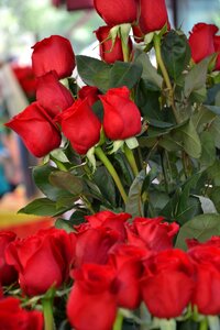 Flower bouquet red