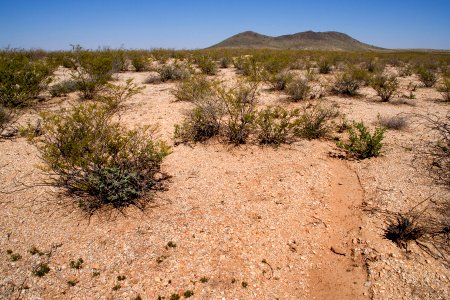 South bajada of the Tres Hermanas