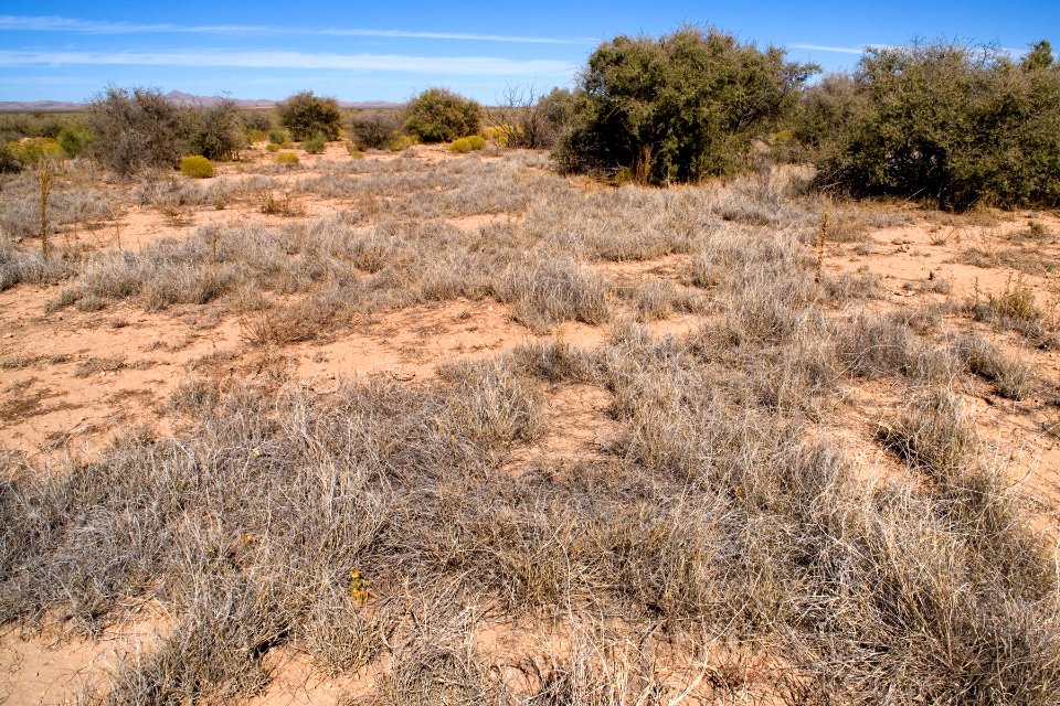East-northeast of Animas