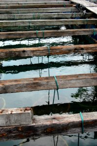 Vietnam 2015 (Hanoi, Halong Bay, Hoi-An)