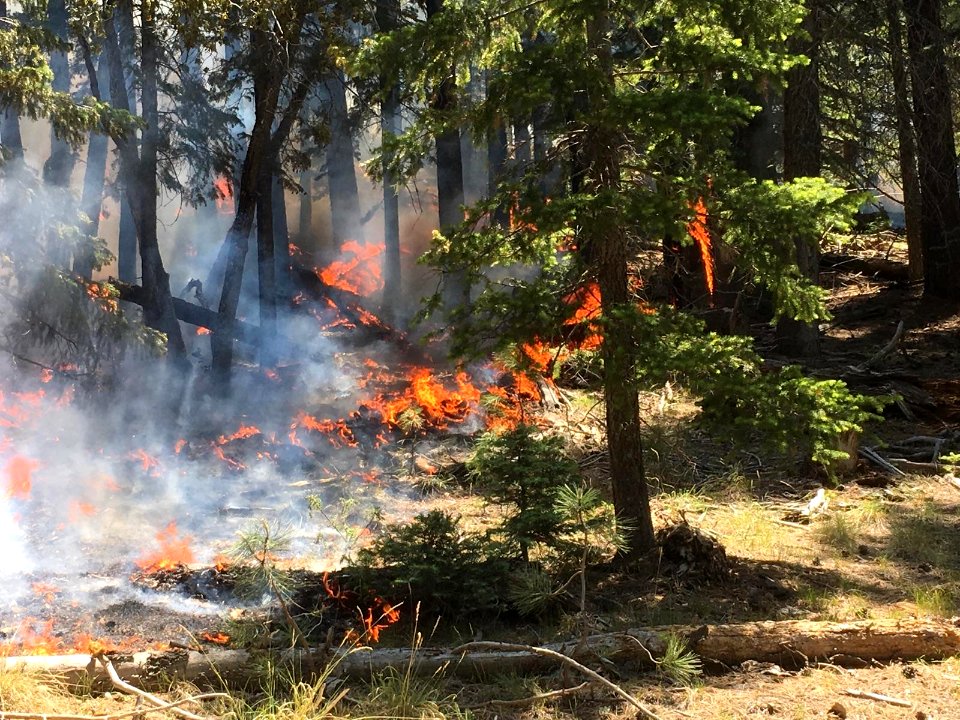 Bear Fire (June 6, 2017)