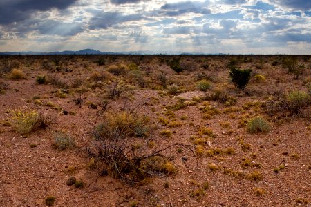 South bajada of the Pyramid Mountains