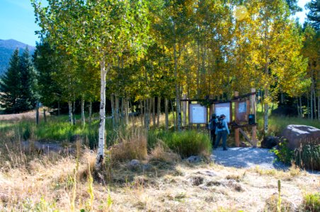 Snowbowl: Humphreys Trailhead