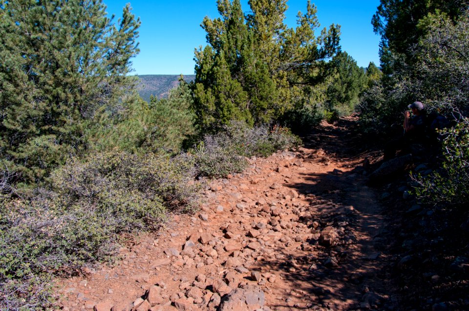 Fossil Springs Trail No. 18