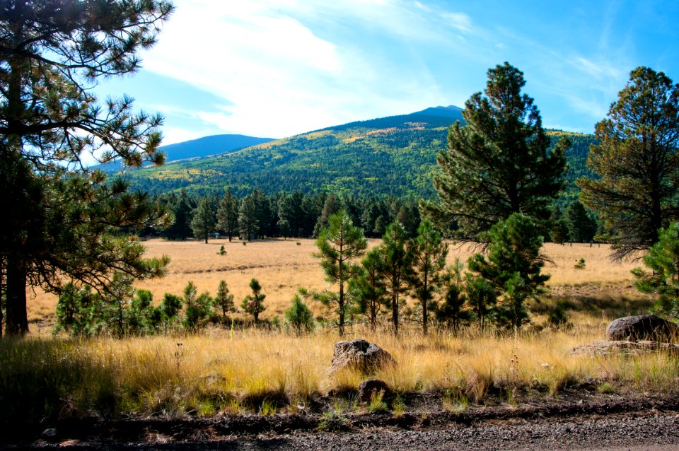 Around the Peaks Loop: FR 418