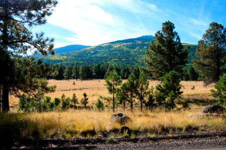 Around the Peaks Loop: FR 418