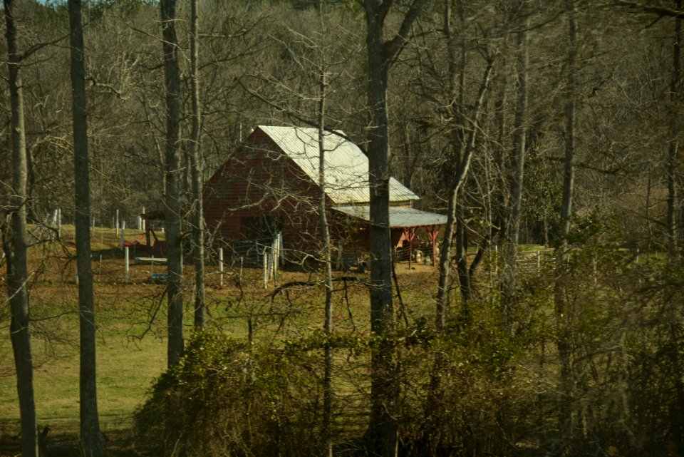 Yesterday's Barn photo