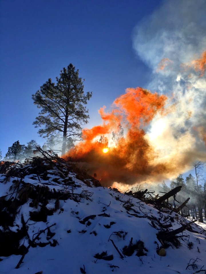 Pile burning slash from a timber sale