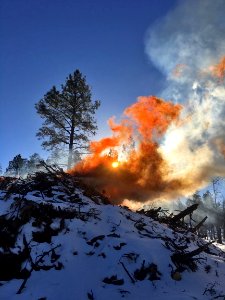 Pile burning slash from a timber sale