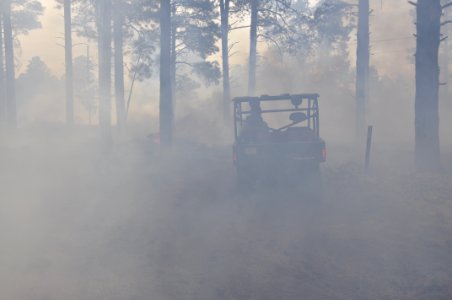 Woody Ridge Rx Burn 4-7-16