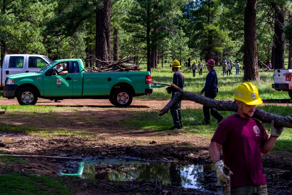 2017 Employee Work Day, Mountainaire