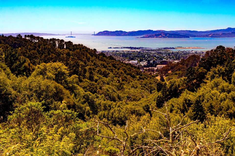 Golden Gate from the Berkeley Hills