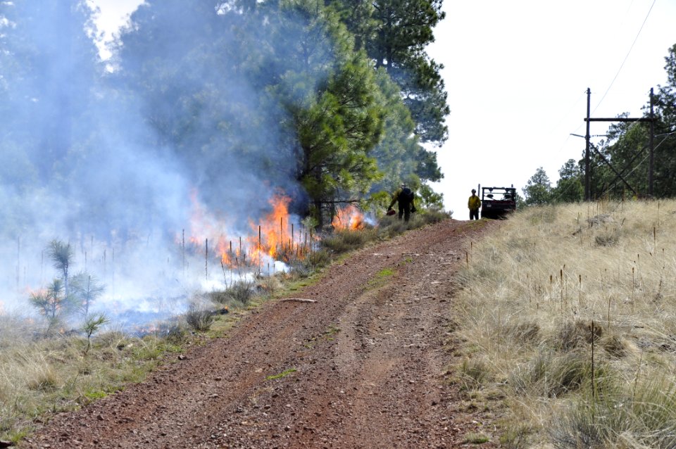 Woody Ridge Rx Burn 4-7-16