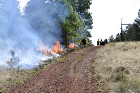 Woody Ridge Rx Burn 4-7-16