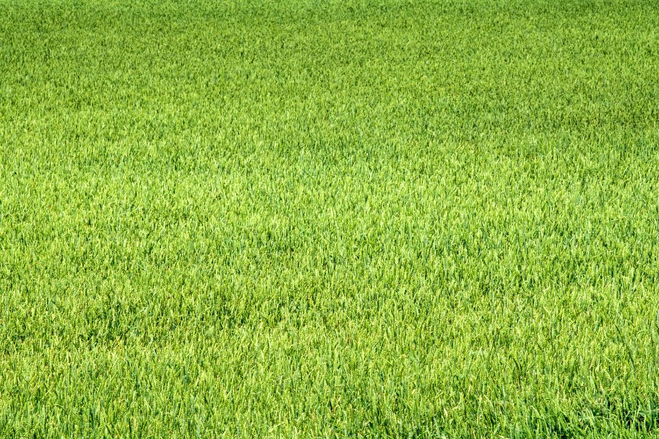 20200520-NRCS-LSC-0007