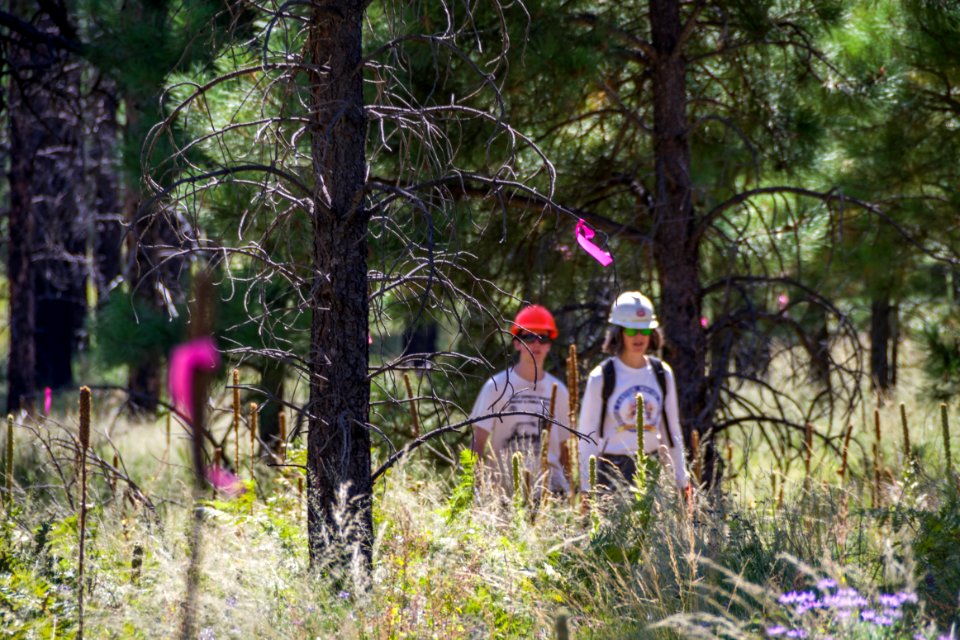 Little Bear Trail Work Day (September 10, 2016)