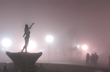 Pincoya en la neblina, Castro Chiloé