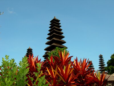 Exotic indonesia garden photo