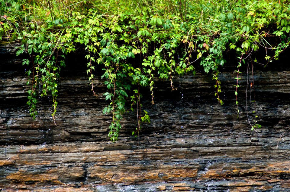 20110712-RD-LSC-0186