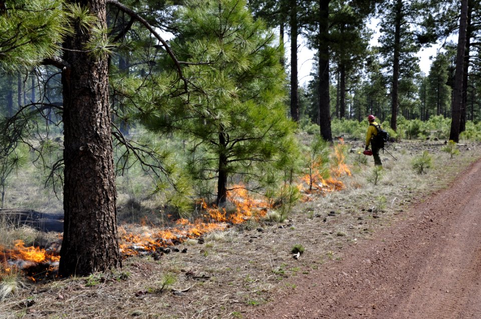 Woody Ridge Rx Burn 4-7-16