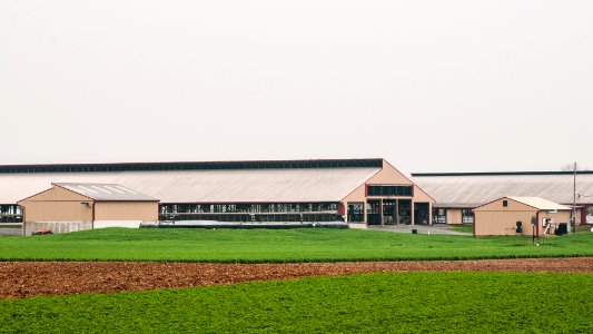 20110419-RD-LSC-0907