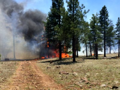 Jack Fire (June 6, 2016)